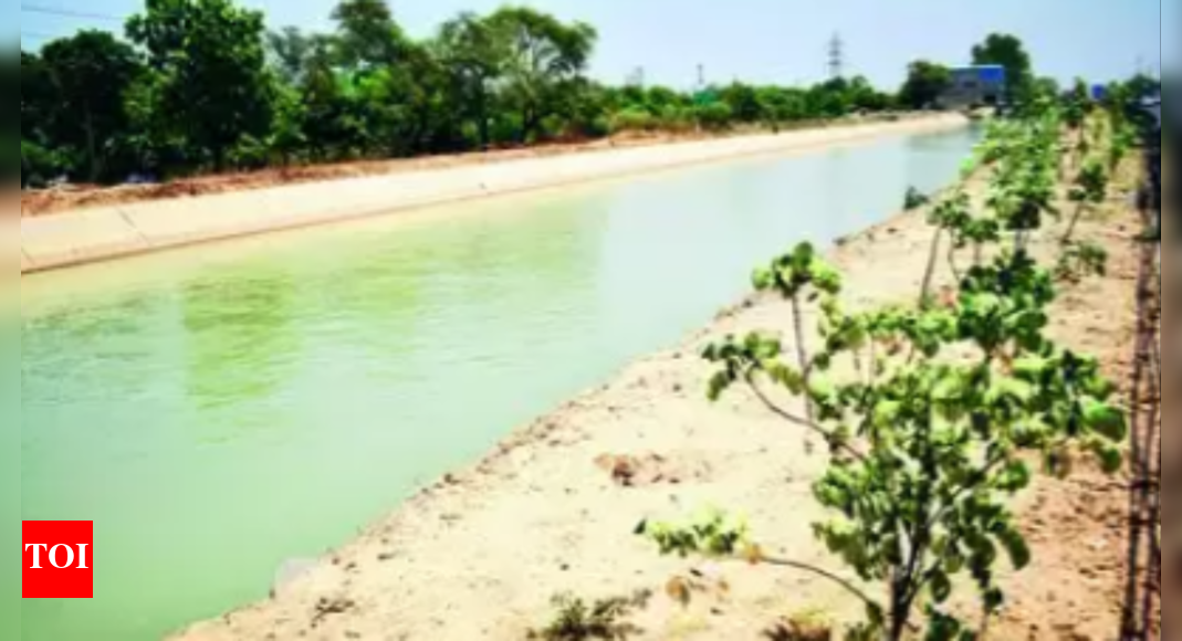 Canal Water To Rajasthan Flares Up Passions In Punjab | Chandigarh News ...