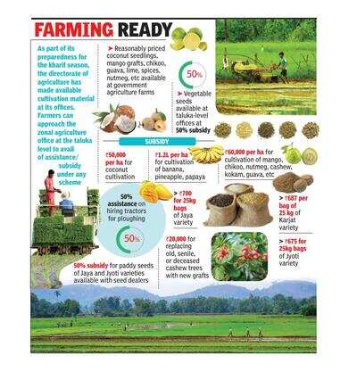 Agriculture department distributes paddy seeds at 50% subsidy to farmers