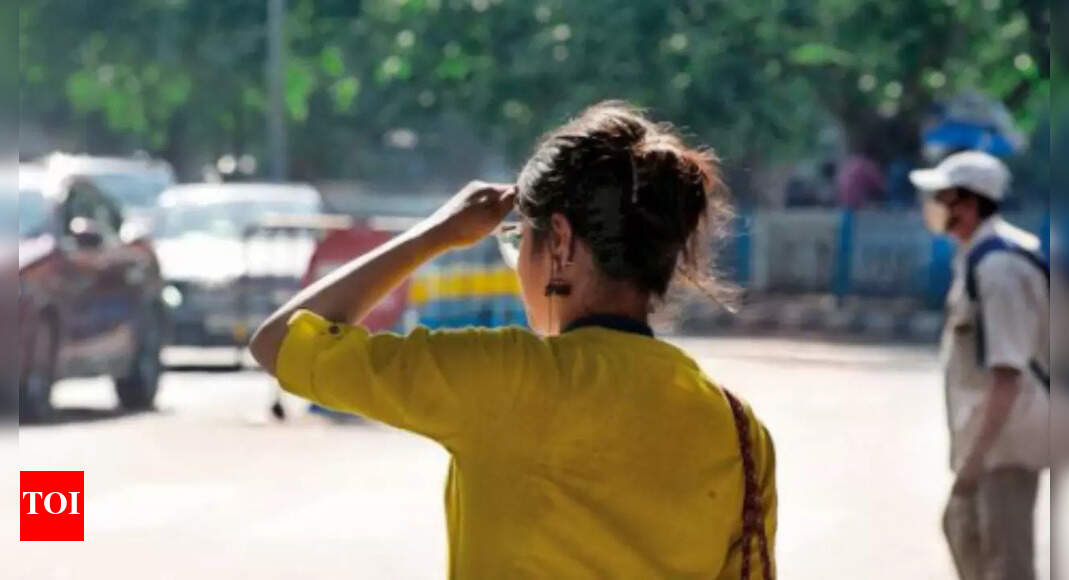 डॉग डेज़: चेन्नई उबाल पर, लेकिन राहत के कोई आसार नहीं | चेन्नई समाचार – टाइम्स ऑफ इंडिया डॉग डेज़: चेन्नई उबाल पर, लेकिन राहत के कोई आसार नहीं | चेन्नई समाचार – टाइम्स ऑफ इंडिया