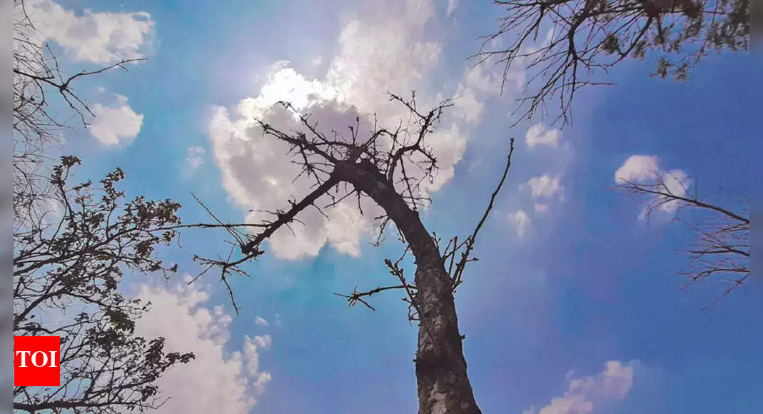 मध्य महाराष्ट्र के कोंकण में तापमान में गिरावट के संकेत | पुणे समाचार – टाइम्स ऑफ इंडिया मध्य महाराष्ट्र के कोंकण में तापमान में गिरावट के संकेत | पुणे समाचार – टाइम्स ऑफ इंडिया