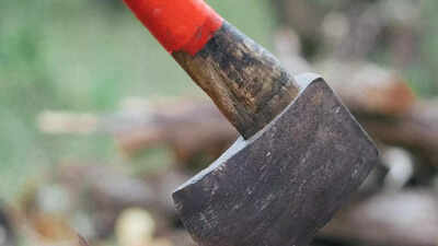Odisha: Man beheads wife with axe over suspected affair with neighbour