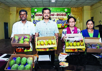 Three-day mango mela begins today at Kuppanna Park