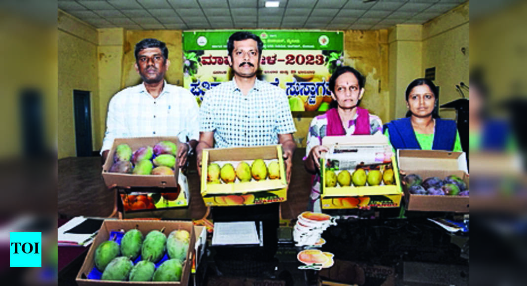 Mango: कुप्पन्ना पार्क में आज से तीन दिवसीय आम मेला शुरू हो रहा है | मैसूर समाचार – टाइम्स ऑफ इंडिया Mango: कुप्पन्ना पार्क में आज से तीन दिवसीय आम मेला शुरू हो रहा है | मैसूर समाचार – टाइम्स ऑफ इंडिया