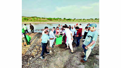 Ghaggar river bank cleaned up to prevent flash floods