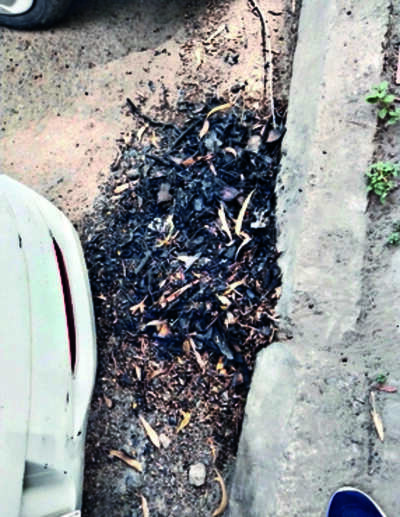 MC slaps ₹25k challan on school for burning waste