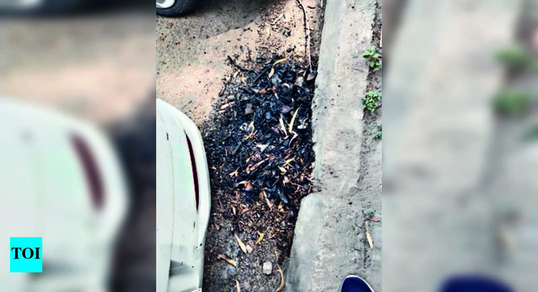 एमसी ने कूड़ा जलाने पर स्कूल का ₹25 हजार का चालान काटा | लुधियाना समाचार – टाइम्स ऑफ इंडिया एमसी ने कूड़ा जलाने पर स्कूल का ₹25 हजार का चालान काटा | लुधियाना समाचार – टाइम्स ऑफ इंडिया