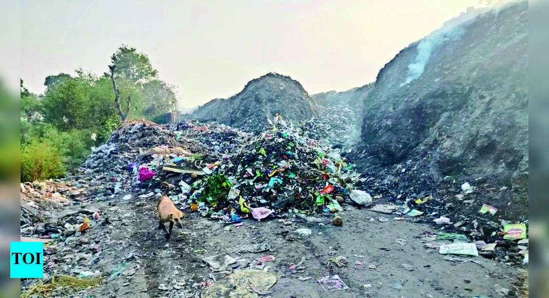 खन्ना का कूड़ा जलता रहा, ग्रामीण परेशान | लुधियाना समाचार – टाइम्स ऑफ इंडिया खन्ना का कूड़ा जलता रहा, ग्रामीण परेशान | लुधियाना समाचार – टाइम्स ऑफ इंडिया