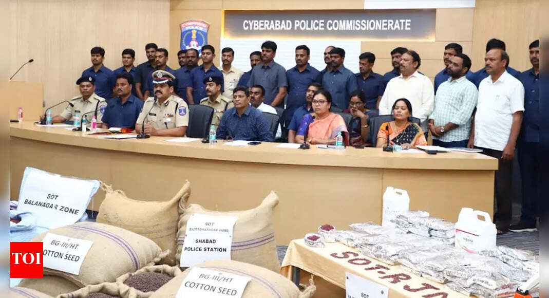 Hyderabad Crime News: साइबराबाद पुलिस ने 85 लाख रुपये के नकली बीज के साथ सात को किया गिरफ्तार | हैदराबाद समाचार – टाइम्स ऑफ इंडिया Hyderabad Crime News: साइबराबाद पुलिस ने 85 लाख रुपये के नकली बीज के साथ सात को किया गिरफ्तार | हैदराबाद समाचार – टाइम्स ऑफ इंडिया