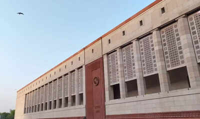Mirzapur carpets, Tripura bamboo flooring embellish new parliament building