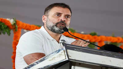 Rahul can get passport with 3-year validity, says court