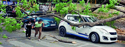 Gusty winds, rain cause outages across state