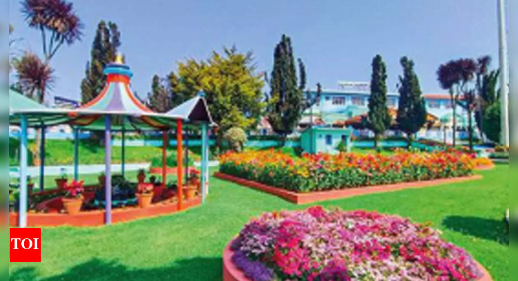 ऊटी में रेलवे गार्डन में कोच कैफेटेरिया स्थापित करने की बोली की आलोचना | कोयंबटूर समाचार – टाइम्स ऑफ इंडिया ऊटी में रेलवे गार्डन में कोच कैफेटेरिया स्थापित करने की बोली की आलोचना | कोयंबटूर समाचार – टाइम्स ऑफ इंडिया