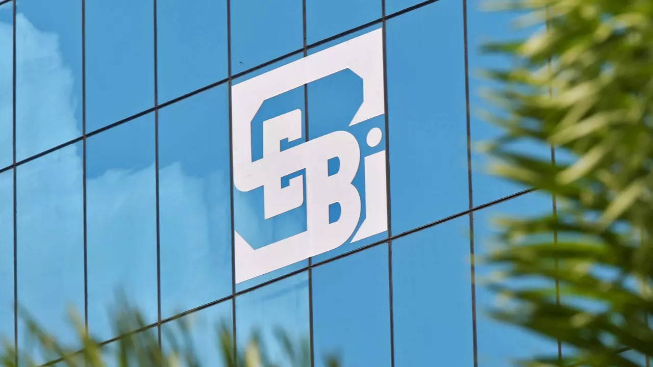 finfluencer sundar settles case with sebi, banned for 1 year - times of india