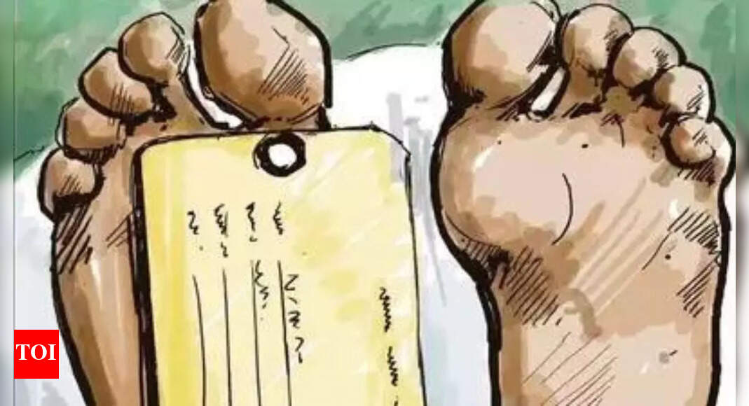 अलंकार: शरीर से बंधा हुआ आदमी नदी में कूदता है मंगलुरु समाचार – टाइम्स ऑफ इंडिया अलंकार: शरीर से बंधा हुआ आदमी नदी में कूदता है मंगलुरु समाचार – टाइम्स ऑफ इंडिया