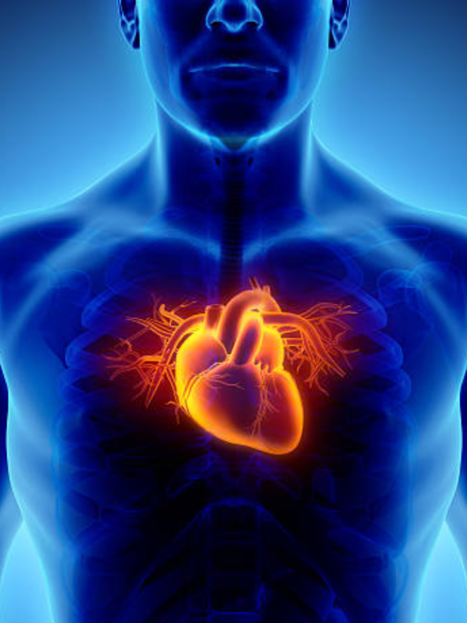 10 worst things for a human heart​ | Times of India