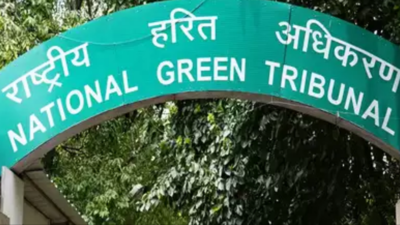 Plea says paper mill releasing toxic waste, NGT sets up panel