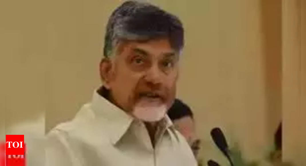 Chandrababu Naidu Reelected As TDP Chief | Vijayawada News - Times Of India