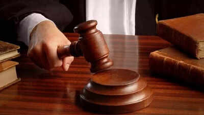 ‘Spoiled India’s image’: Court gives man 2-year RI for molesting Peruvian