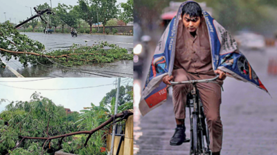 Trees and poles uprooted, city battles outages for up to 6 hrs