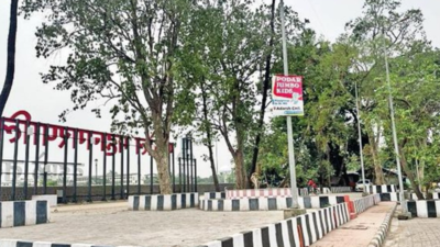 Vadale Talav Trees Hit By Cemented Surface | Navi Mumbai News - Times ...