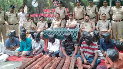 Task force arrests 16 red sanders smugglers near Mydukur in Andhra Pradesh