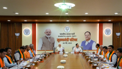 PM Modi holds meeting with CMs of BJP-ruled states on party's good governance agenda