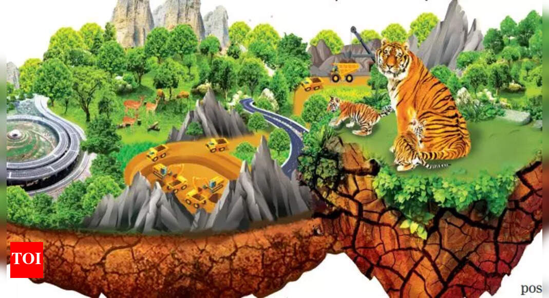 Fast-growing linear infrastructure shrinking India’s forests into islands | India News – Times of India