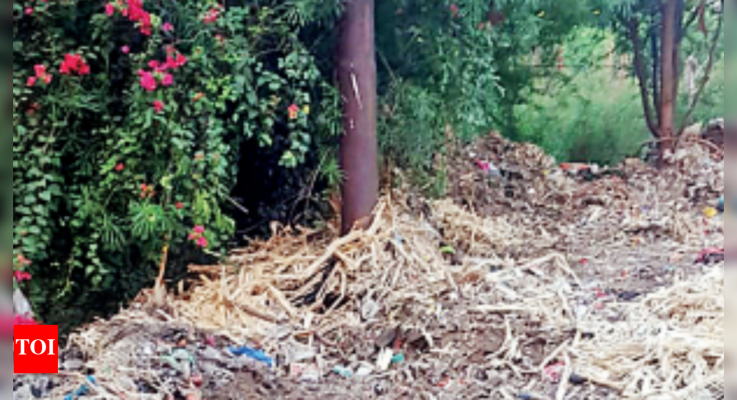 Green belt & footpath near school encroached, GDA orders checks ...