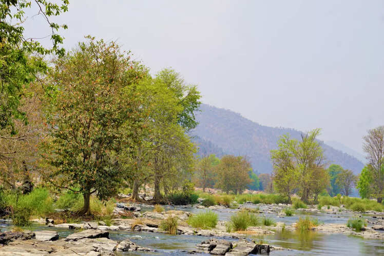 Landscape