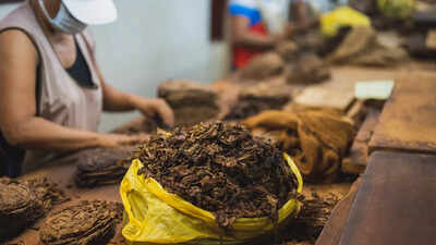 World No Tobacco Day 2023: History, theme, significance and more