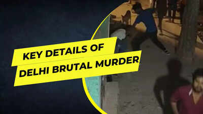 Unveiling the details of Delhi's Shahbad dairy brutal murder: All you need to know