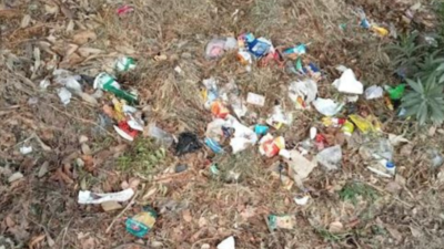 Greater Noida: Garbage not picked up after weekend rain, raises a stink
