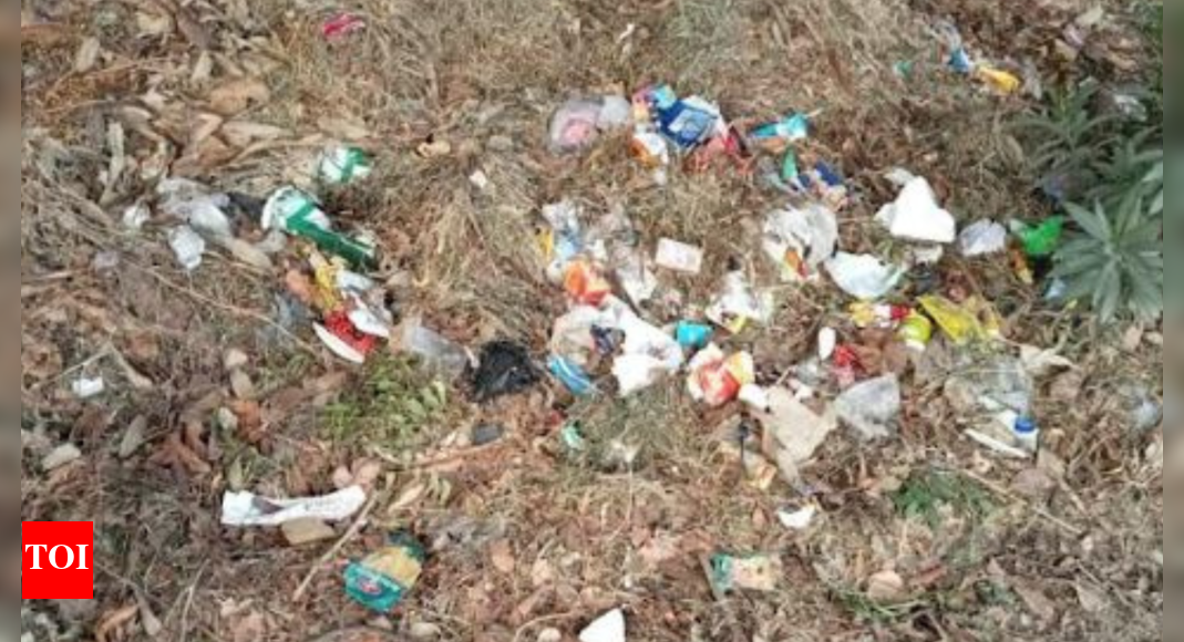 Greater Noida Garbage not picked up after weekend rain, raises a stink