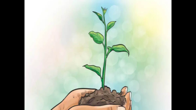 Dial 1920 and get a sapling planted in front of your house