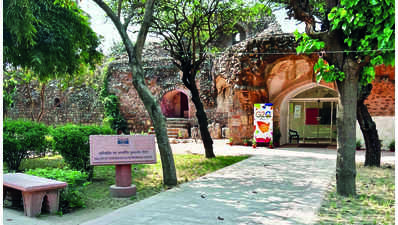 Delhi's Purana Qila excavation to be preserved, thrown open to public