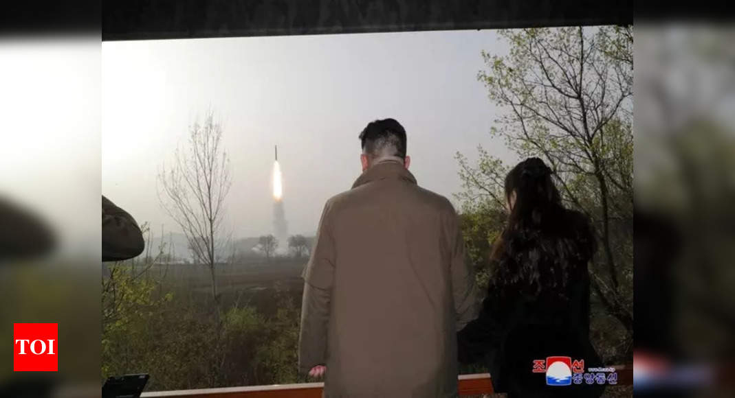 North Korea: North Korea's spy satellite 'crashes into sea', vows 2nd launch 'as soon as possible'