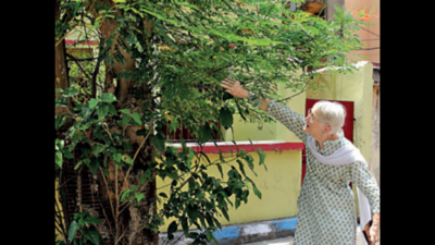86-year-old US-born former teacher turns green crusader to save neighbourhood trees in Jadavpur