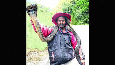 Karnataka: Snake rescuer bitten by cobra, passes away | Bengaluru News ...