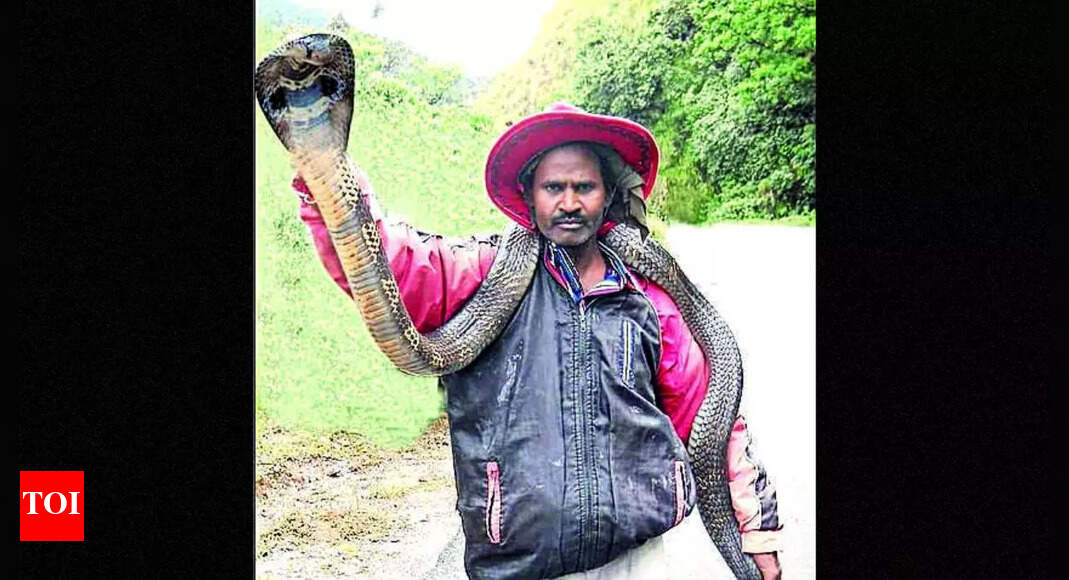 Karnataka: Snake rescuer bitten by cobra, passes away | Bengaluru News