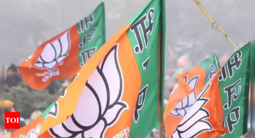 Bjp Launches Campaign To Talk About ‘modi Govt Achievements’ | Mumbai ...