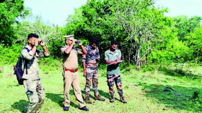 Pre-monsoon census kicks off in Mudumalai Tiger Reserve
