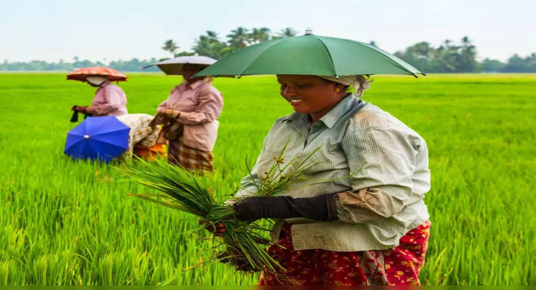 Kuttanad the lowest point of India and the Rice Bowl of Kerala, Kerala