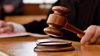 Amend in 6 months penal provisions on unnatural sex: Karnataka HC