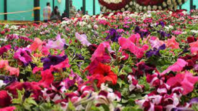 Semmozhi Poonga gets a facelift for flower show