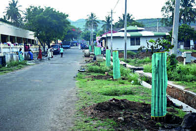 Temple body plants saplings to turn MM Hills green