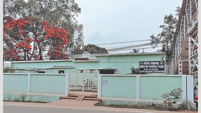 Regional edu director’s office in Jeypore hit by staff crunch