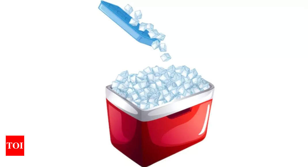 best-ice-box-coolers-to-keep-your-beverages-cool-on-the-go-times-of