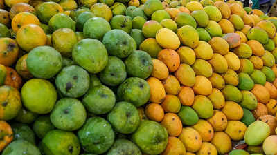 Traders in Mumbai express interest in exporting mango varieties from UP to other countries
