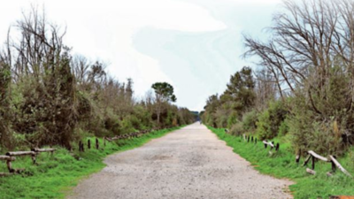 Telangana forest and revenue depts in big fight over Jakaram forest land
