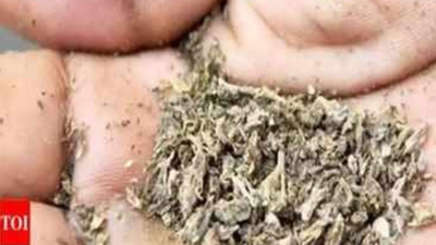 Narcotics gang busted on ORR, 450-kg ganja seized